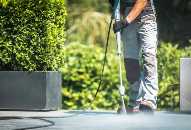 Best Concrete Sealing  in Litchfield, IL