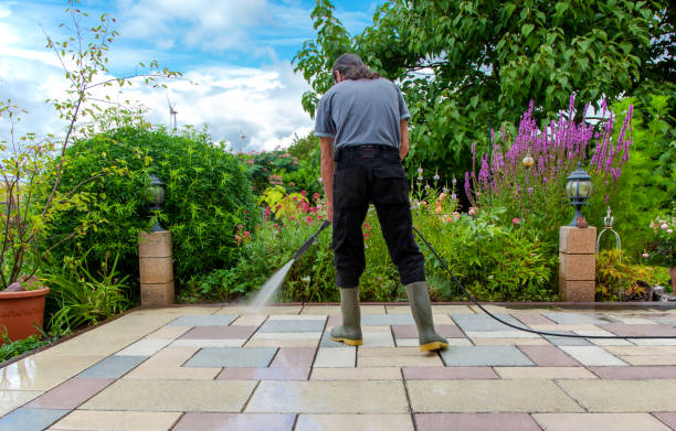 Best Sidewalk and Walkway Cleaning  in Litchfield, IL